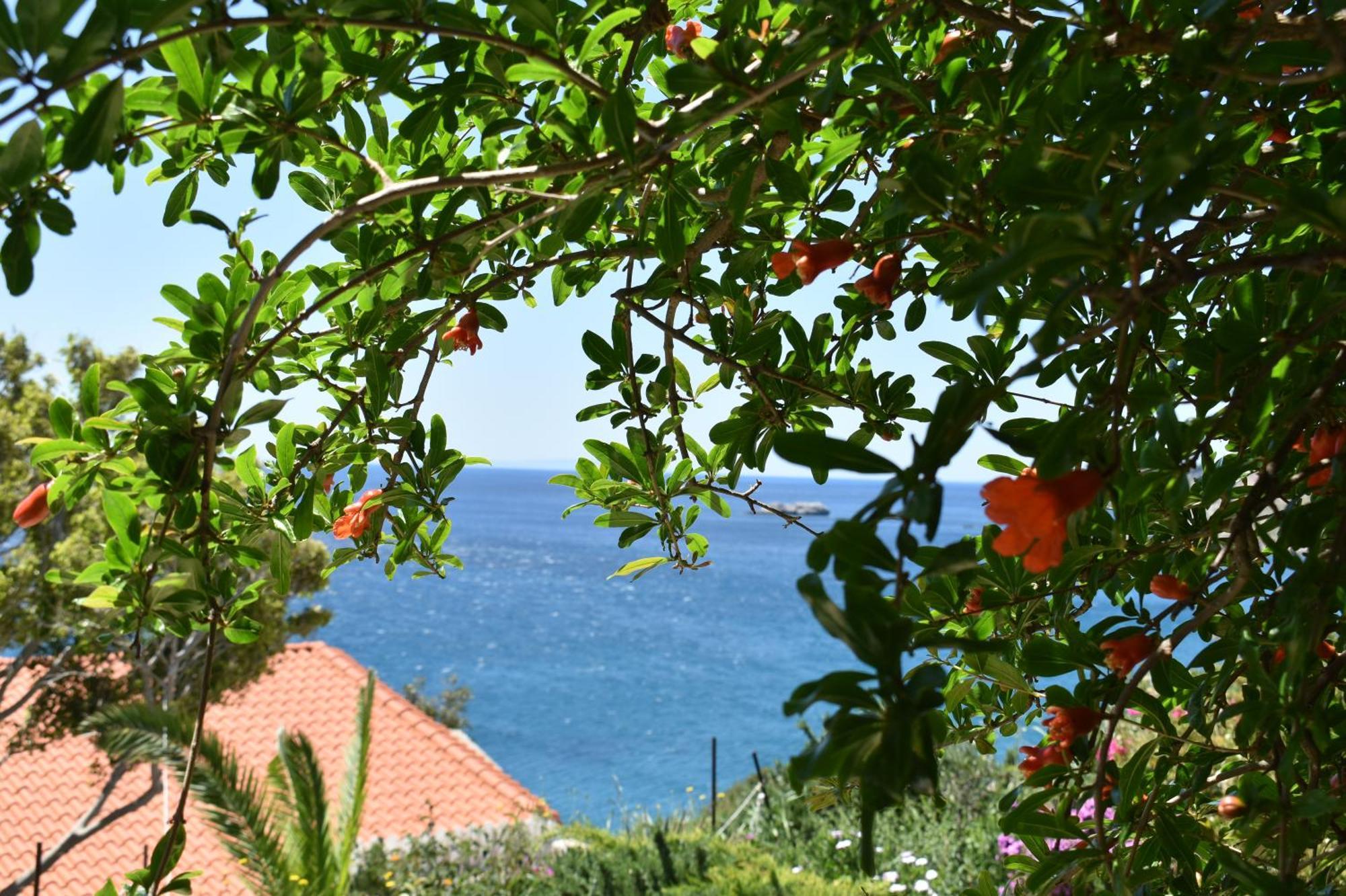 Voukelari Rooms Plakias Dış mekan fotoğraf